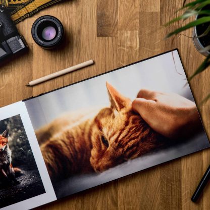 camera and image of cats