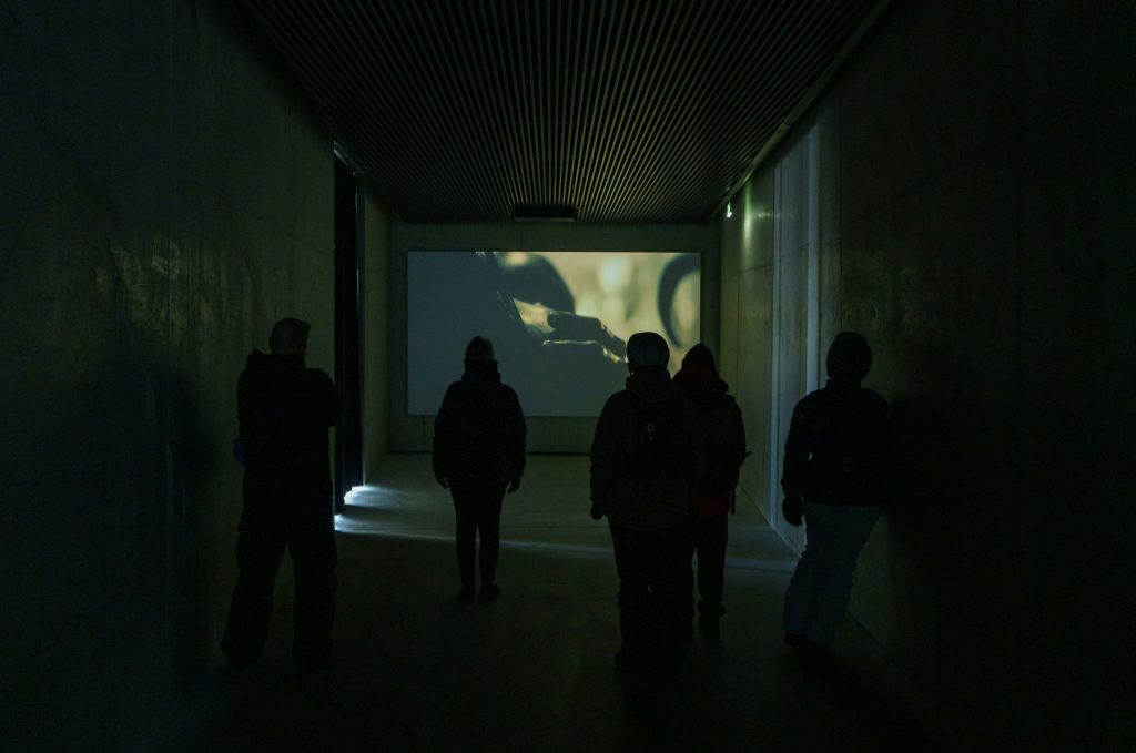 Virtual Art Tour